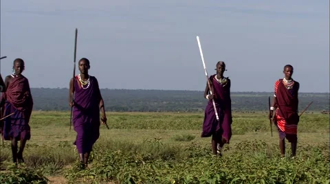 Tanzania Maasai Warriors walking over savannah Stock Footage