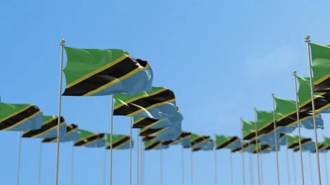 Tanzania Row Of Flags Animation Video stock 148798140
