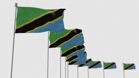 Tanzania Row Of Flags Animation Include Alpha Channel  Stock Footage 163522543