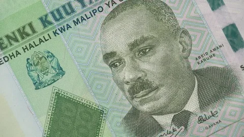 Tanzania shilling notes rotating. Karume portrait. Tanzanian money, currency Stock Footage 105965471