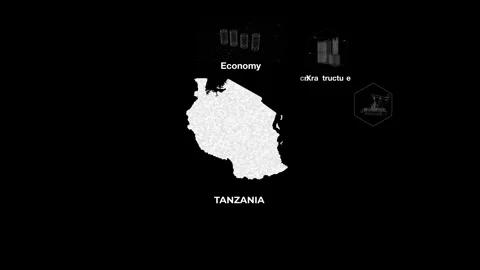 Tanzania technology map with animated charts Stock Footage 340993891