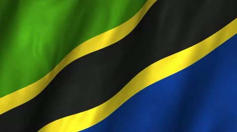 Tanzania Waving Flag Stock Footage 12363981