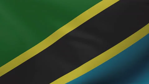 Tanzania waving flag seamless loop animation 4k. Stock Footage 150717300