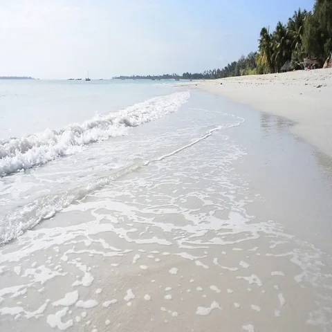 Tanzania White Beach Stock Footage 69519402