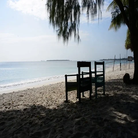 Tanzania White Beach Stock Footage 69519577