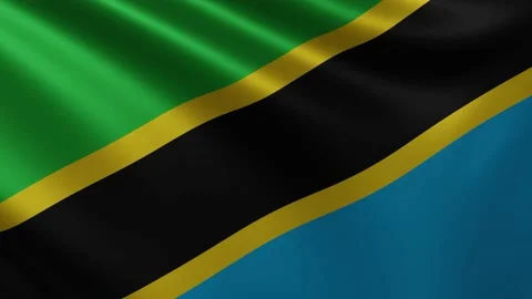 Tanzanian flag fluttering in the wind close-up, the national flag of Tanzania Stock Footage 218989263