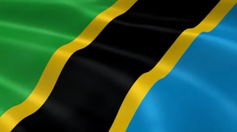 Tanzanian flag in the wind Fotos Stock