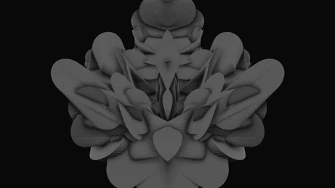 Tao-red Stock Footage 111318839