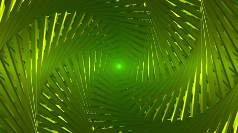 TAO SPRAL 09 Stock Footage 155148274