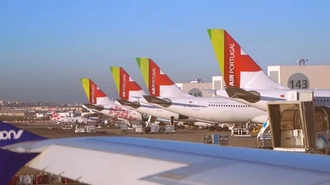 Tap airplanes all lined up docked at the jet bridge in Lisbon Airport. Stock Footage 110817079