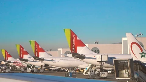 Tap airplanes all lined up docked at the jet bridge in Lisbon Airport. Stock Footage 110817087
