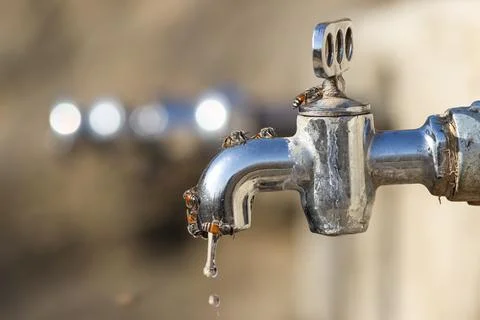 The Tap With Dropping Water Stock Photos