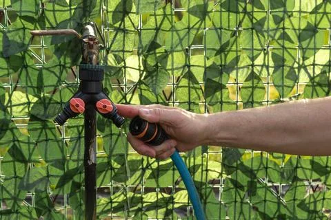 Tap splitter for connecting two hoses, connecting a hose in the garden Stock Photos