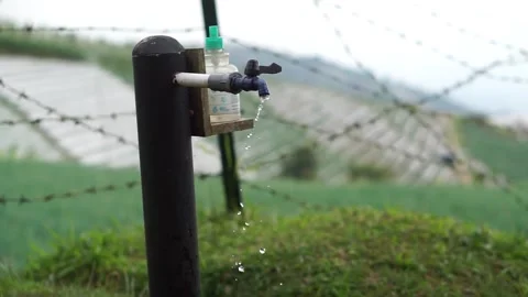 Tap water Video stock 259489605