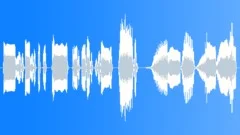 Tape rewind Sound Effect