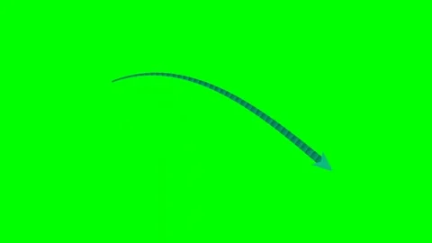 Tapered gradient ribbon arrow bottom ribbon swash green screen Stock Footage 344648163