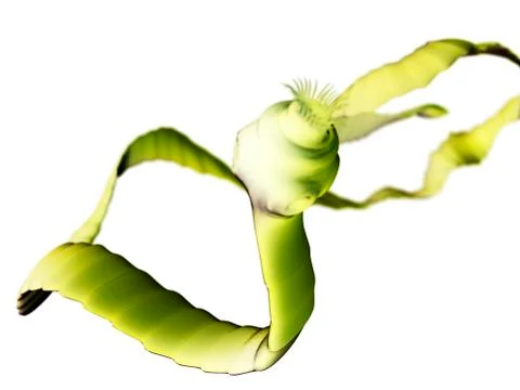 Tapeworm; artwork 스톡 일러스트