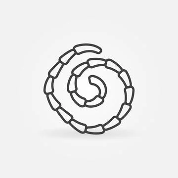 Tapeworm vector Helminth concept thin line icon or sign Illustrazione stock