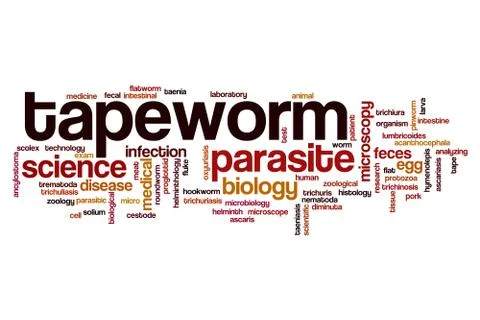 Tapeworm word cloud Stock Illustration