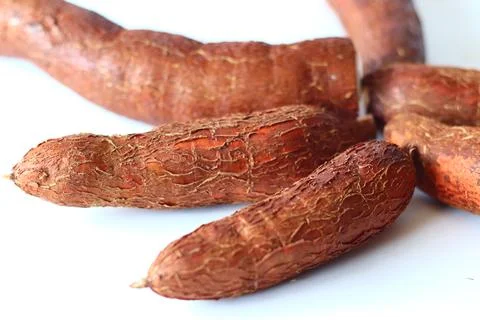 Tapioca also known as cassava roots or yuca or manioc, on a clean white backg Stock Photos