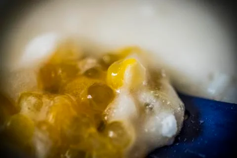 Tapioca and Mango Pudding Stock Photos