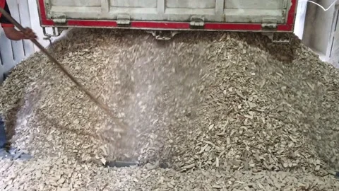 Tapioca or cassava pieces is loading to intake for flour industrial 库存影片 131297980