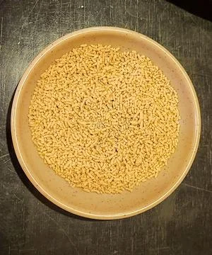Tapioca Pearls on a Plate Stock Photos