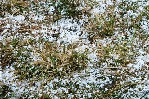 Tapioca snow graupel Stock Photos