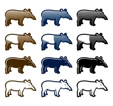 Tapir Stock Illustration