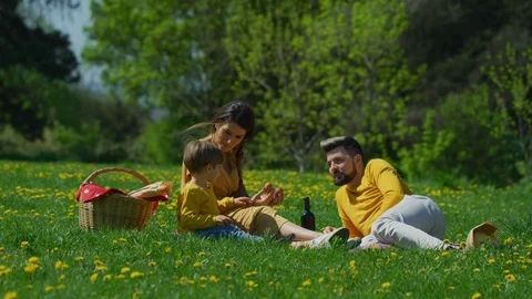 Tapping eggs on a picnic Stock-Footage 100002225