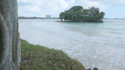 Taprobane Island and tree 動画素材 102901973