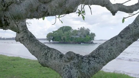 Taprobane Island Dolly 動画素材 102899079