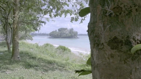 Taprobane Island 動画素材 102897227