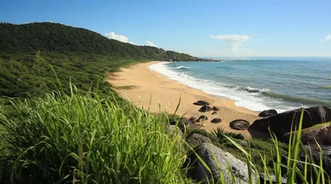 Taquarinhas Beach Stock Footage 61729910