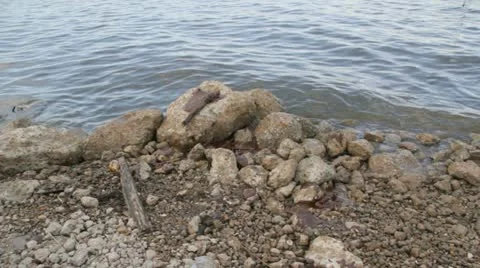 Tar balls Stock Footage 22225826