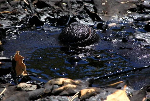 Tar Bubble 01 SD Видео 721240