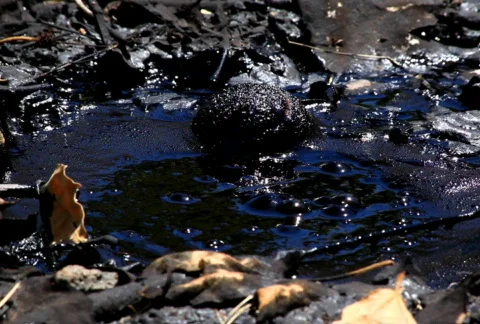 Tar Bubble 02 SD Vidéo 721269