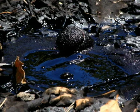 Tar Bubble 03 PAL Stock Footage 721343