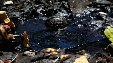 Tar Bubble 04 HD Vidéo 721350