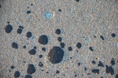 Tar drops Stock Photos