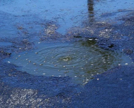 Tar Pit 01 PAL Vidéo 718520