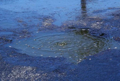 Tar Pit 01 SD Vidéo 718509