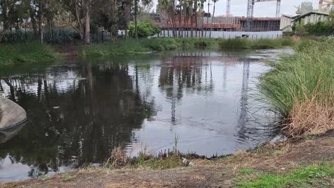 Tar pits with bubbles and gas forming on the surface Stock Footage 252028052