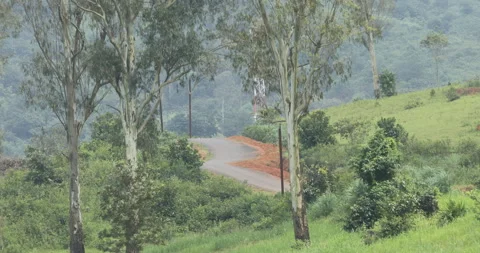 Tar Road on a Mountain Stock Footage 290068755