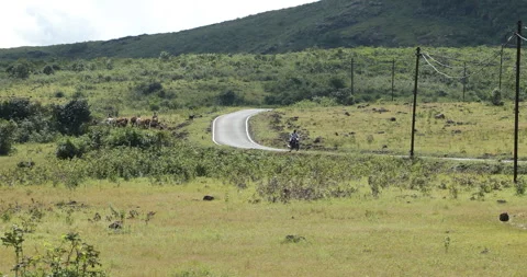 Tar Road on a Mountain Stock Footage 291957429