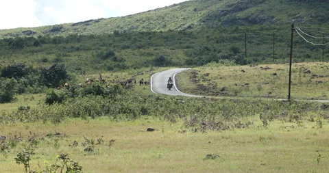 Tar Road on a Mountain Stock Footage 291957449