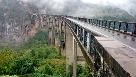 The Tara Bridge Stock Photos