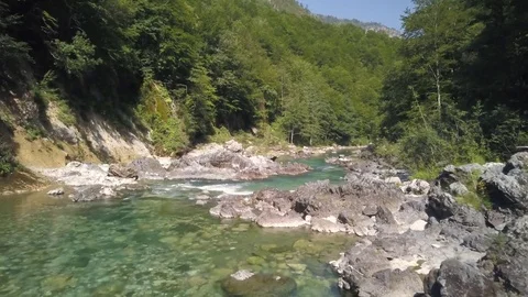 Tara river tracking shot of river with forest UHD Stock Footage 80986438