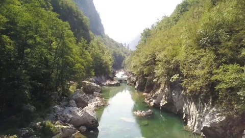Tara river tracking shot of Tara river with trees UHD Stock Footage 80986136