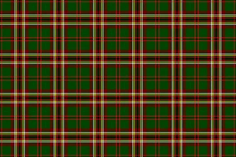 Tara Tartan. Seamless rectangle pattern for fabric, kilts, skirts, plaids Stockillustratie